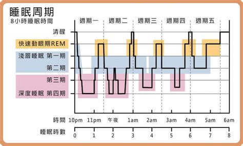 人一天睡眠時間